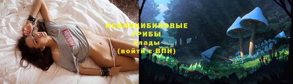 хмурый Белоозёрский