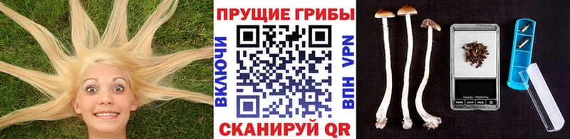 Галлюциногенные грибы ЛСД  где купить наркотик  Острогожск 
